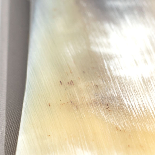 Straight razor 5/8" Carbon | Mountain Lion Buffalo horn